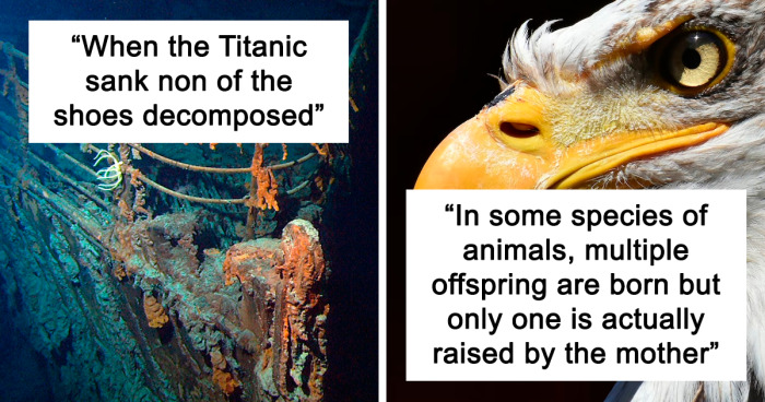 55 Creepy Scientific Facts People Wish They Hadn't Learned