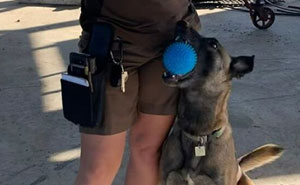 40 Times UPS Drivers Met The Cutest Dogs While On Duty, As Shared In This Facebook Group (New Pics)