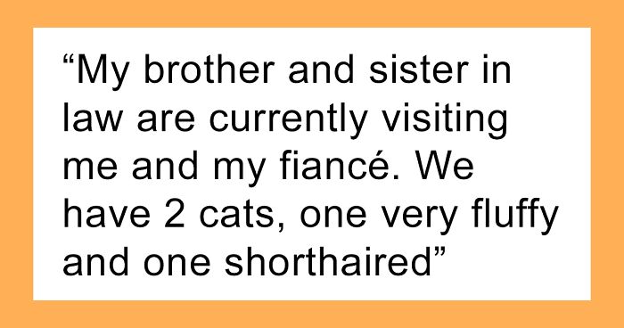 Guestzilla Demands The Host Lock Their Cats Up As One Of Them Allegedly Scared Her At Night, Bashes Them After Getting A Polite Refusal