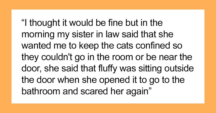 Brother And SIL Come To Visit But Are Upset The Homeowner’s Cat Is Free To Walk Around The House As They Get Startled By It