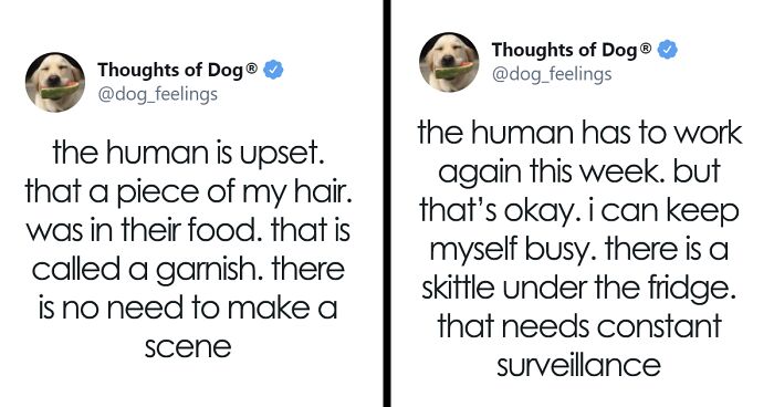 70 Of The Most Hilarious And Wholesome “Thoughts Of A Dog” That Dog Owners Might Relate To (New Pics)