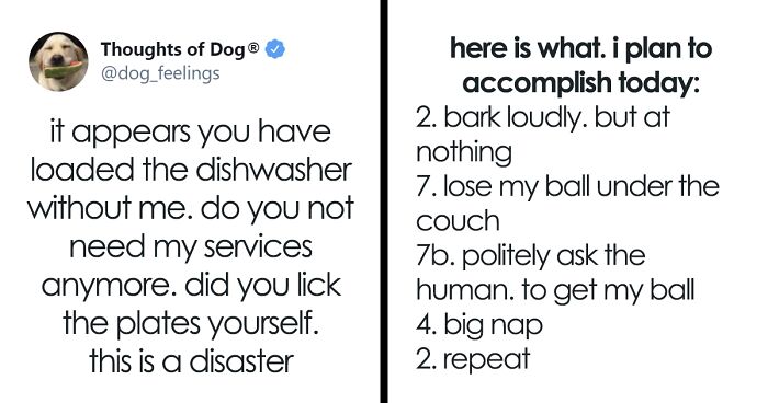 70 Funny And Sweet “Thoughts Of A Dog” That Make A Lot Of Sense (New Pics)