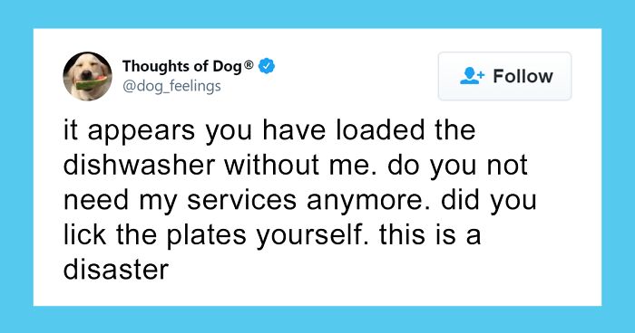 70 Funny And Sweet Things Our Dogs Have Probably Thought Before, As Shared By This Twitter Account (New Pics)