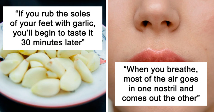 28 Facts About Our Bodies That You Probably Don't Want To Know, As Shared By This TikTok Account