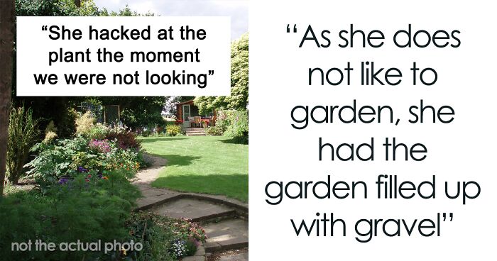 “It Is All But Impossible To Get Rid Of”: Person Plants Mint As Revenge For A Lying Neighbor