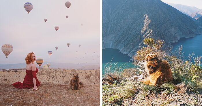 My Cat Traveled With Me To 33 Countries, And This Is What Our Trip To Turkey And Georgia Looked Like