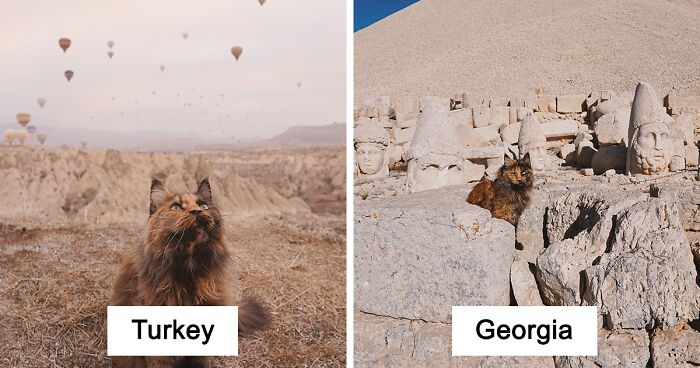 I Have Traveled To 33 Countries Together With My Maine Coon Cat, See The Highlights Of Our Journey To Turkey And Georgia