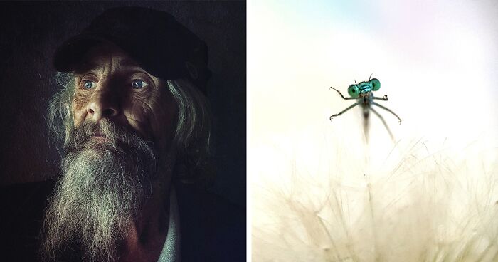 Mobile Photography Awards 2022 Have Announced The Winners, And Here Are 37 Of The Best Photos