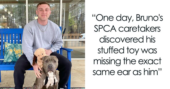 Meet This One-Eared Duo: Bruno And His Plush Toy Who Found Their Forever Home