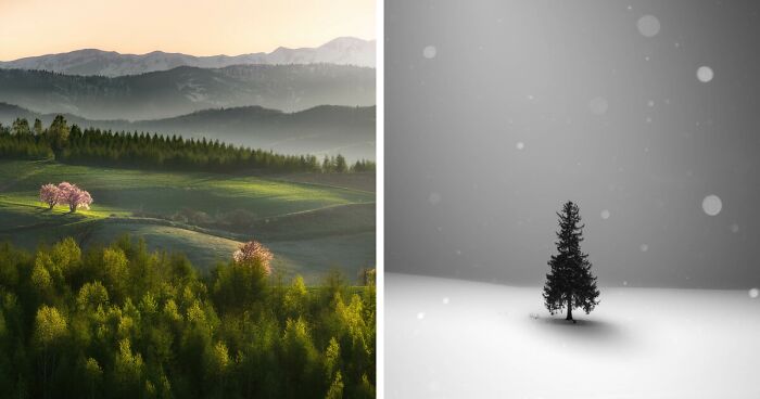 I Took Dreamy-Looking Pictures Of Trees In My Hometown Of Hokkaido, Japan, And Here's The Result (25 Pics)