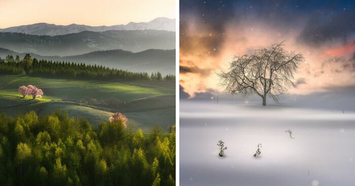 I Took Dreamy-Looking Pictures Of Trees In My Hometown Of Hokkaido, Japan (25 Pics)