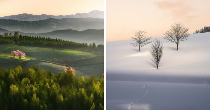 I Photographed The Beautiful Trees Of Hokkaido, Japan (25 Pics)