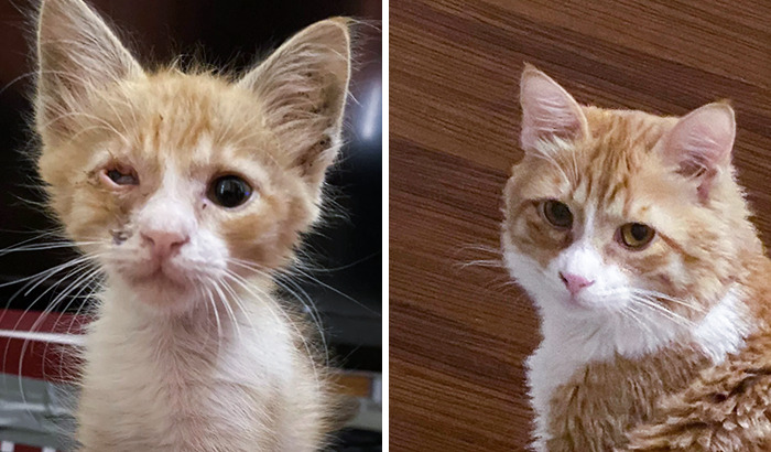 When I Adopted Him vs. Now