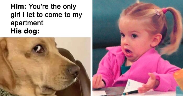 92 Jokes About Being Single That Might Make You Laugh, Then Cry