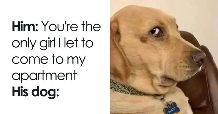 92 Of The Most Spot-On Memes That Sum Up What It’s Like To Be Single