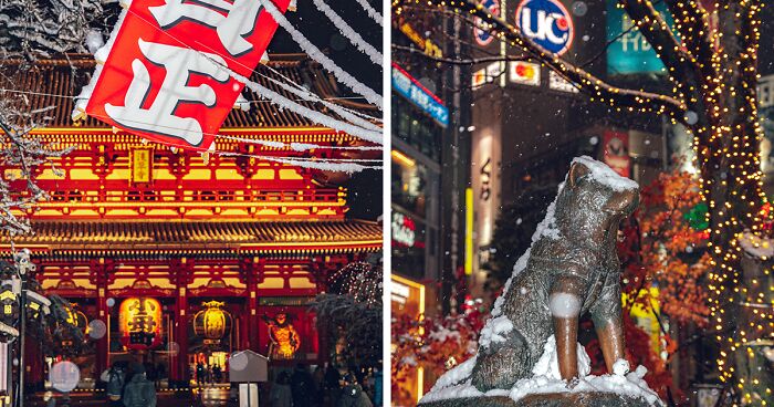 I Photographed A Rarely Seen Phenomenon, Tokyo Covered In Heavy Snow