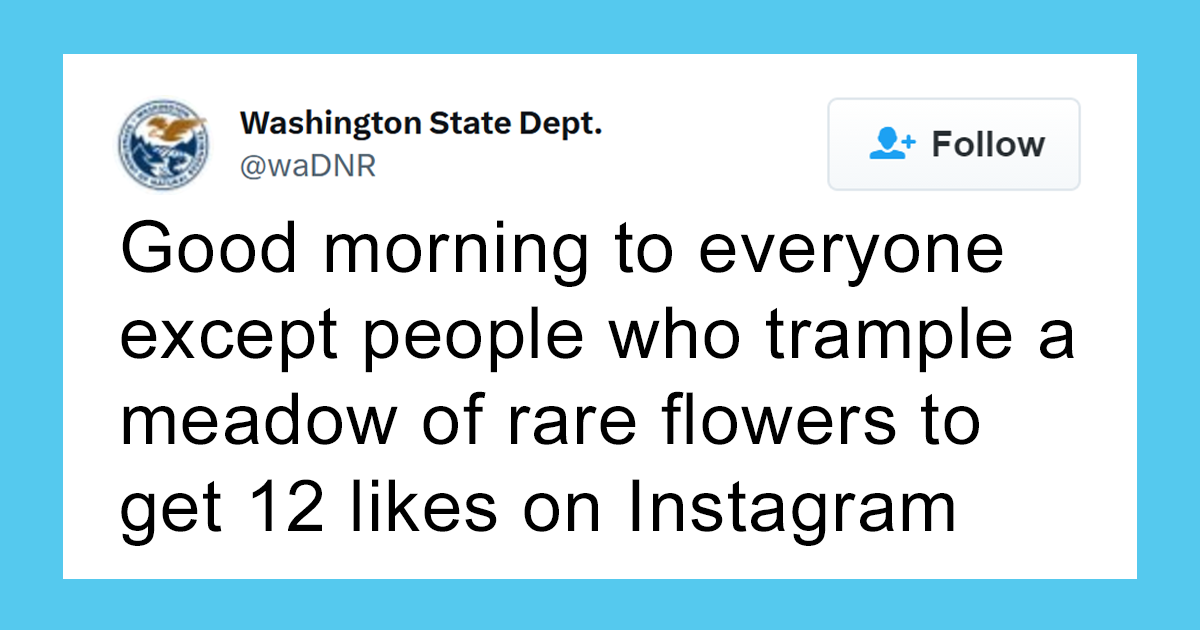 The Washington Department Of Natural Resources Twitter Has People In