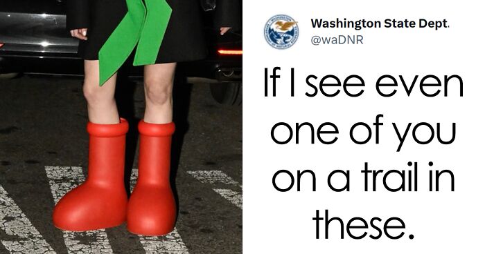 People Are Amused By These 41 Tweets By The Washington Department Of Natural Resources