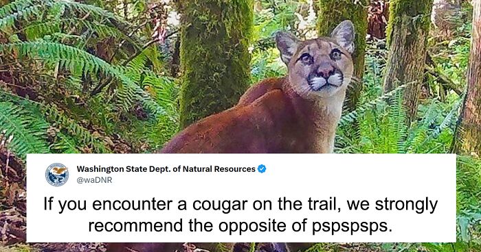 People Are Cracking Up At These 41 Tweets By The Washington Department Of Natural Resources