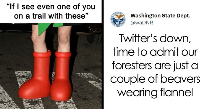 The Social Media Team At The Washington Department Of Natural Resources Is Showing Their Humorous Side On Twitter And Here Are 41 Of Their Best Posts