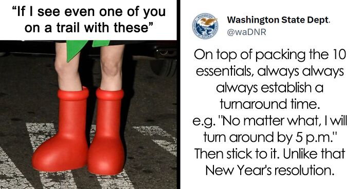 The Washington Department Of Natural Resources Twitter Has People In Stitches With These 41 Tweets