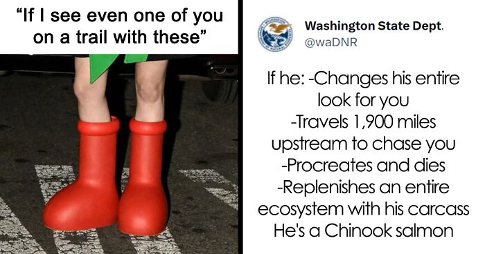 The Washington Department Of Natural Resources' Social Media People Have No Business Being This Funny, Yet They Are, As Proven With These 41 Tweets