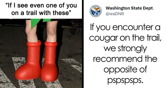 The Washington Department Of Natural Resources Twitter Has People In Stitches With These 41 Tweets