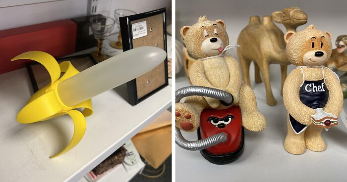 80 Times People Were Genuinely Surprised Or Confused By The Unhinged Things They Found At Charity Shops