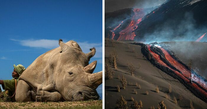 Travel Photographer Of The Year Awards Have Just Announced Their Winners For 2022, And Here Are 88 Of The Best Wanderlust Shots