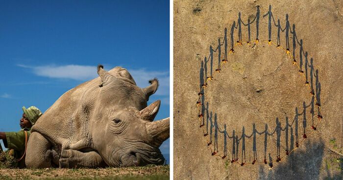 88 Of The Best Shots From The 2022 Travel Photographer Of The Year Competition