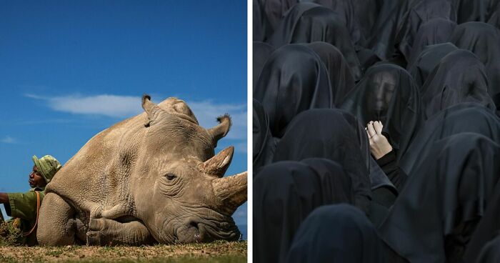 88 Beautiful Shots That Won The 2022 Travel Photographer Of The Year Contest