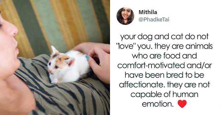 Unpopular Opinion From Tweeter About Whether Your Pets Love You Starts Heated Clash In Comments