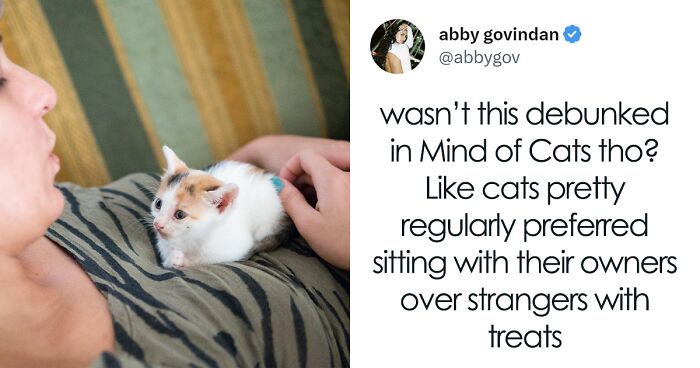 “Your Dog And Cat Do Not ‘Love’ You”: Person Attempts To ‘Debunk Myth’ On The Nature Of Pet-Owner Relationships, Gets Slammed Heavily In Return