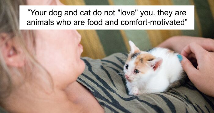 “Your Dog And Cat Do Not ‘Love’ You”: Person Attempts To ‘Debunk Myth’ On The Nature Of Pet-Owner Relationships, Gets Slammed Heavily In Return