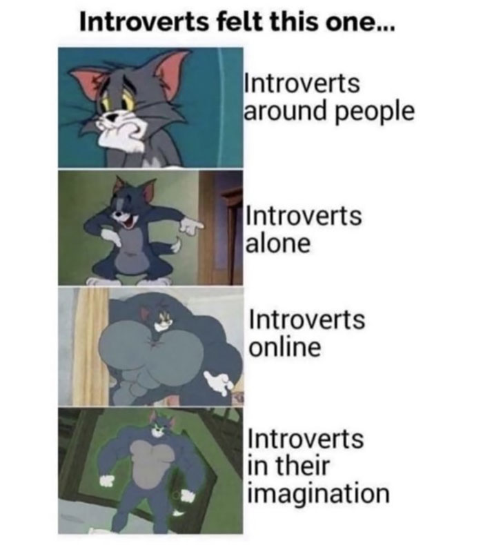 Introvert-Memes-By-Allabintroverts