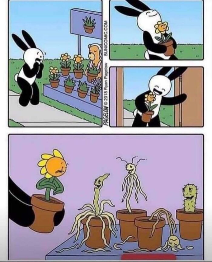 Blursed_plants