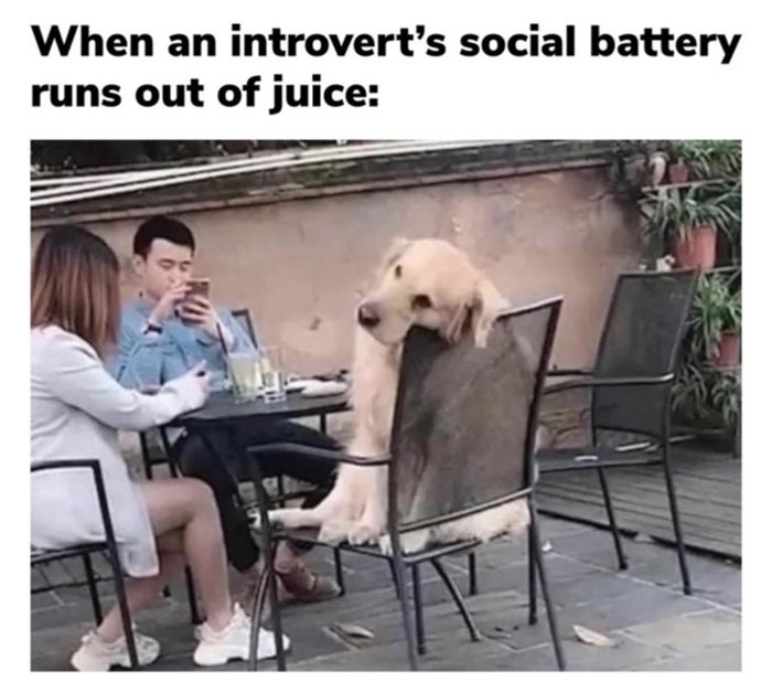 Introvert-Memes-By-Allabintroverts