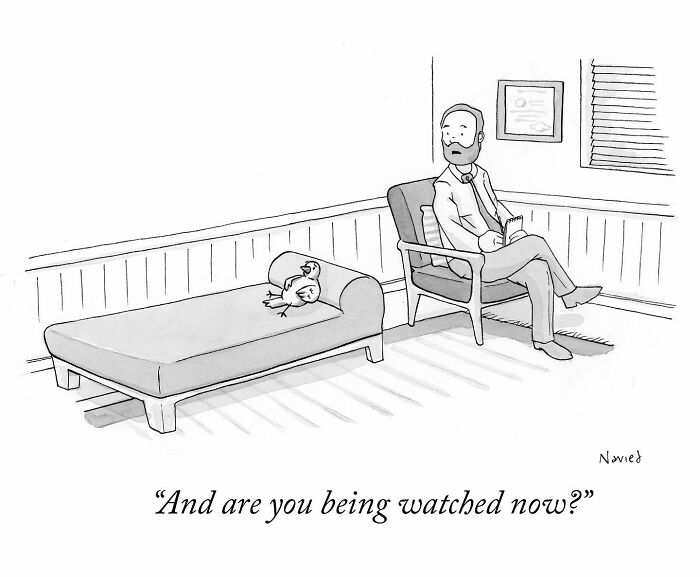 New Yorker Cartoonist Draws Funny, Smart (Ridiculous. Yet Totally Relatable)