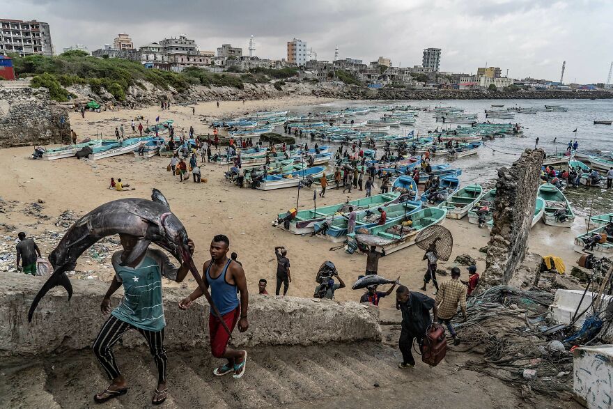 Documentary Projects, 3rd Place: Inside The Hamar Weyne Fish Market - Mogadishu, Somalia By Tariq Zaidi