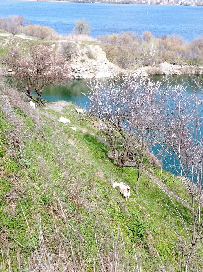 We Decided To Paint Outside For The First Time This Spring In A Front-Line Town In Ukraine