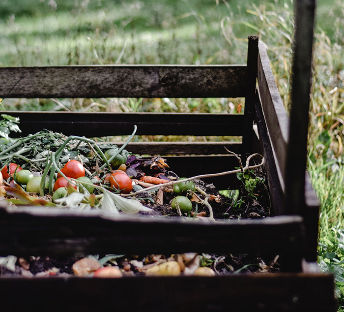 Vegetables Thrown Out In Compost 