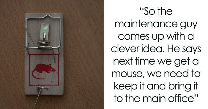 Tenant Shares Their “Mouse Story” Of Malicious Compliance, Teaching Unconvinced Landlord And Maintenance A Lesson In Taking Tenants Seriously