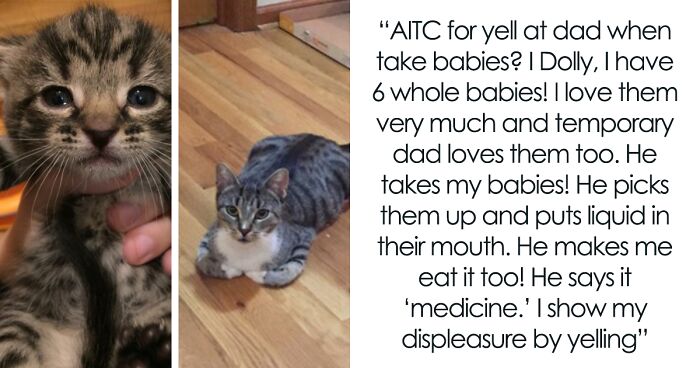 This Community For Pet Owners Helps Them To Understand If Their Pet’s Actually A Jerk (33 Examples)