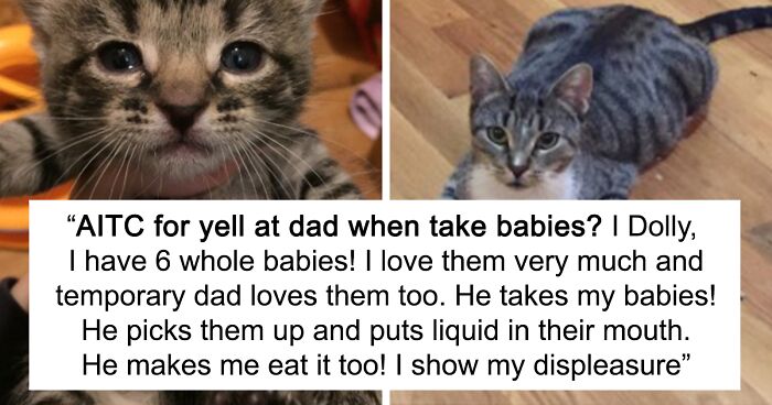 Pet Owners Rant About Their Animals’ “Crimes” Online, And Here Are 33 Of The Best Stories From This Community