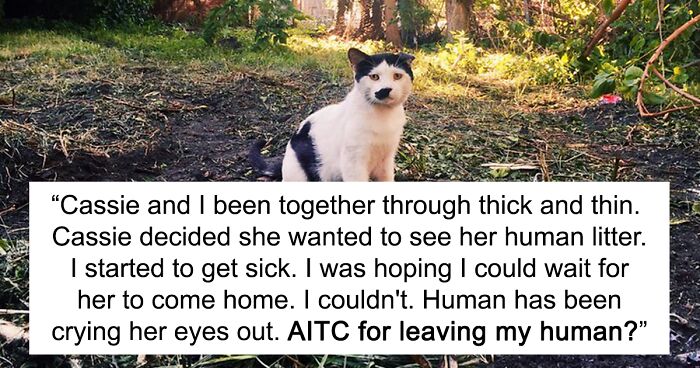 Pet Owners Take It Online To Rant About Their Animals’ Despicable Acts, And Here Are 33 Of The Best Stories Told In This Online Group