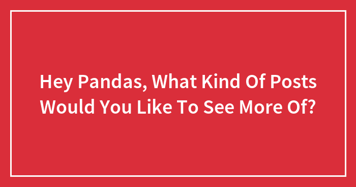 Hey Pandas, What Kind Of Posts Would You Like To See More Of? (Closed)