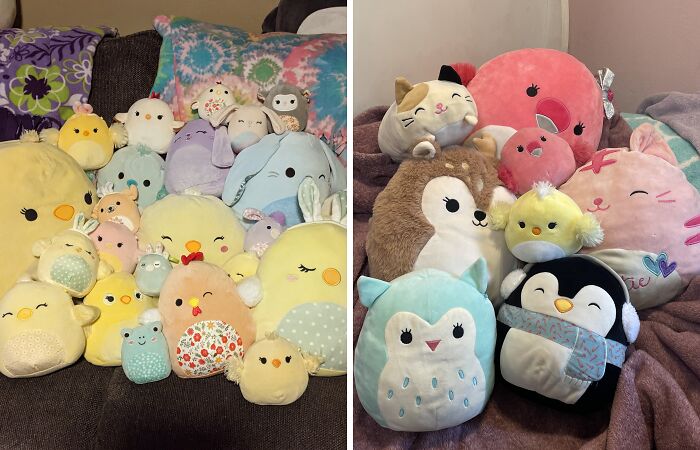 Hey Pandas, Show Me Your Collection Of Squishmallows (Closed)