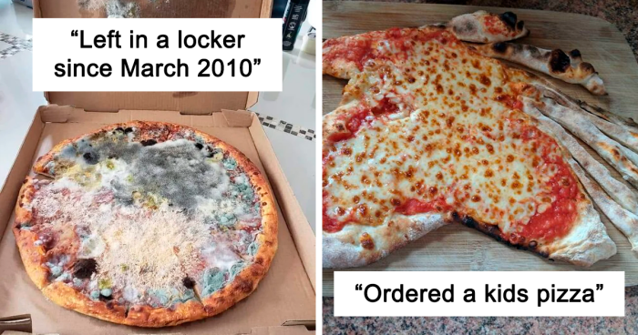 101 Examples Of The Most Disgusting Pizzas That Might Make You Lose Your Appetite, As Shared On 