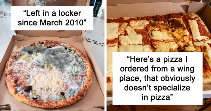 101 Examples Of A Disgrace To Pizza That Shouldn't Exist, Yet They Were Documented