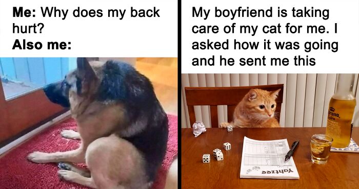 This Facebook Group Is Dedicated To Hilarious And Uplifting Memes, And Here Are 130 Of The Best Ones